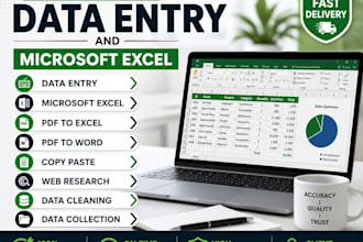 do professional data entry excel data entry copy paste