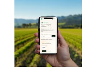 build your web app mvp with ai, no code and vibe coding