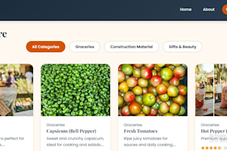 develop a professional website and ecommerce store with payment integration