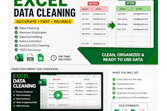 do accurate excel data entry