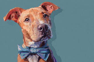 illustrate a disney pet portrait