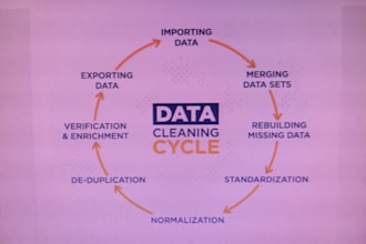 provide professional excel data formatting and cleanup