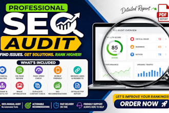 do professional SEO audit