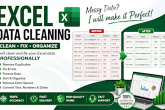 clean and fix excel data for you professionally