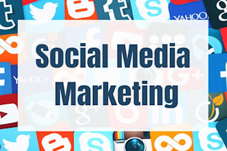 do social media marketing, video promotion