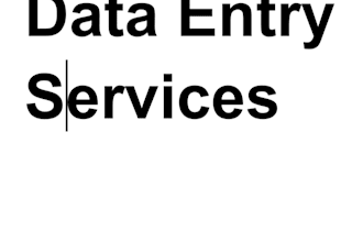 a beginner freelancer offering data entry, copy typing, PDF conversion