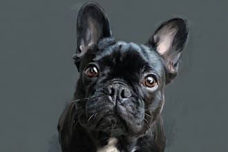 illustrate a custom disney pet portrait