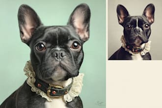 drawing a amazing disney pet portrait