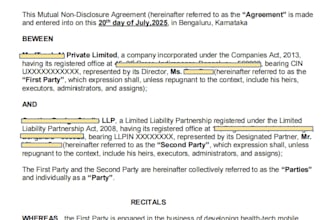 draft professional legal contracts and agreements