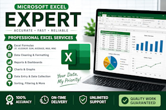 do microsoft excel data cleaning formulas reports
