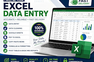 do excel data entry, data cleaning, formatting and mis reports