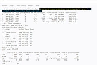 clean and organize your excel or CSV data using python