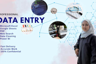 provide professional data entry and web search services