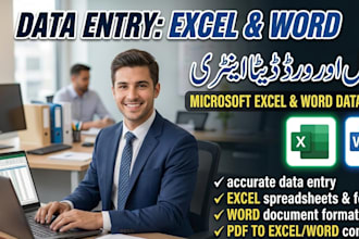 be your expert in microsoft excel and word data entry