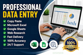 do microsoft excel data entry, google sheets and excel formatting