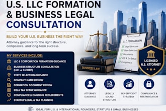 provide US llc formation and business legal consultation