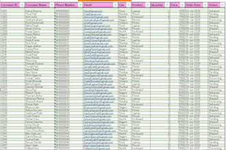 do data entry,data analytics
