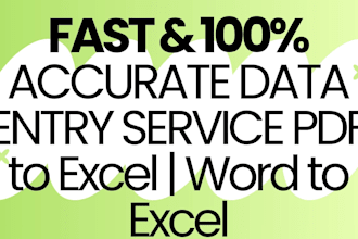 do fast and accurate data entry and excel work