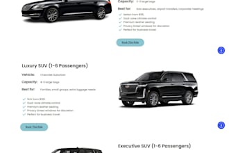design a professional limo service website