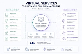 provide virtual services for data and cloud management