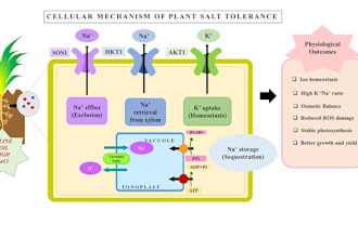 create scientific illustrati abstracts and PPT templates