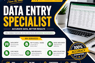 do data entry, excel, google sheets, word, PDF and wordpress