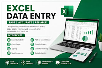 do excel data entry, copy paste, typing and web research