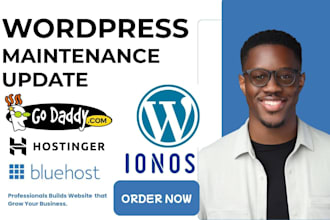 website maintenance, wordpress help, website management, wordpress update