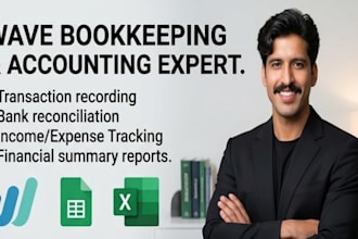do wave bookkeeping and accounting data entry in excel