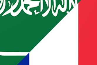 translate french to arabic and arabic to french accurately