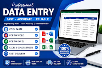 do accurate data entry, copy paste, exel data entry,PDF to exel