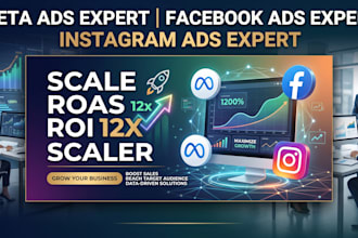 be your facebook and instagram ads expert or meta ads manager