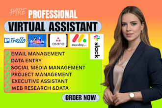 do german virtual assistant german data entry and admin support web research