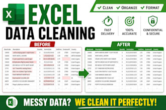 clean, organize and format microsoft excel data