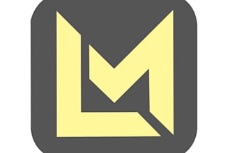 design a professional custom business logo