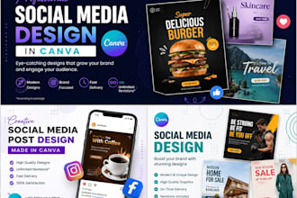 design 1 professional canva graphic