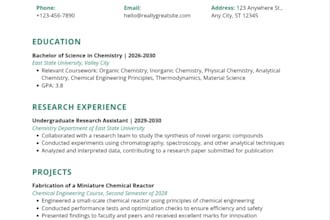 craft an executive resume design, cover letter and CV