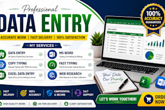 be your data entry expert, exal, ms word, ms exal