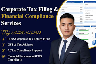 do singapore corporate tax return and financial statements for foreign companies