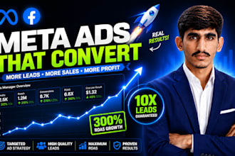 setup and manage facebook ads campaign, fb and meta ads