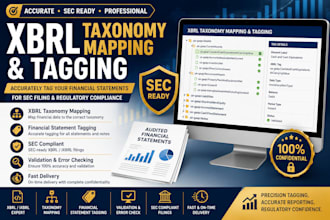 perform xbrl taxonomy mapping and tag financial statements for sec filing