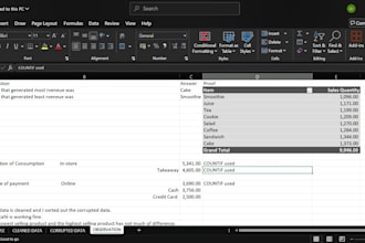 do data cleaning  financial summaries