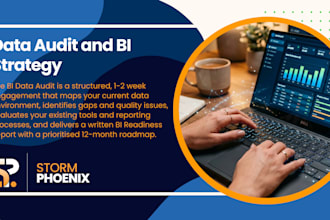 audit your data and deliver a bi readiness report