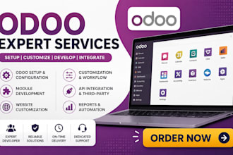 do odoo customization, module development, setup and installation
