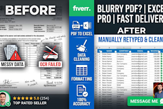 type and format blurry scanned PDF documents into excel