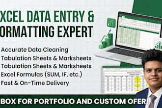 do accurate excel data entry and formatting