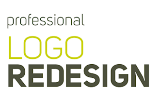 professionally redesign your logo and create a practical brand guide