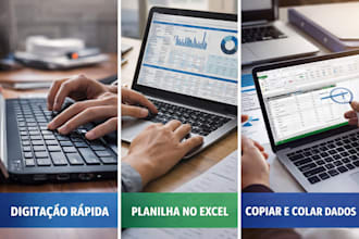 do data entry excel copy paste web research
