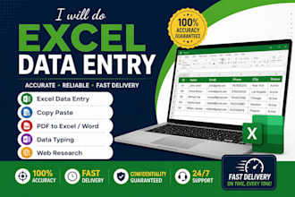 do excel data entry and copy paste tasks