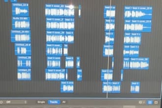 do a mix for your voices tracks